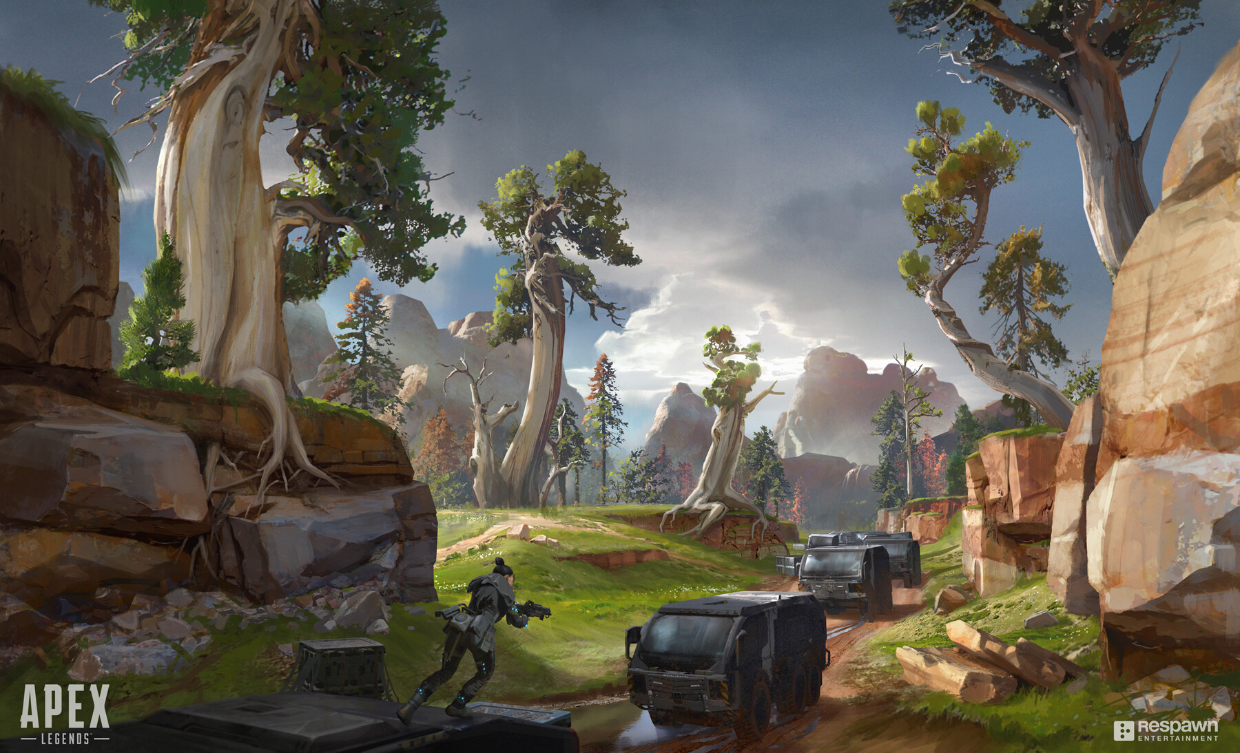 迈凯伦的赛 迈凯伦的赛