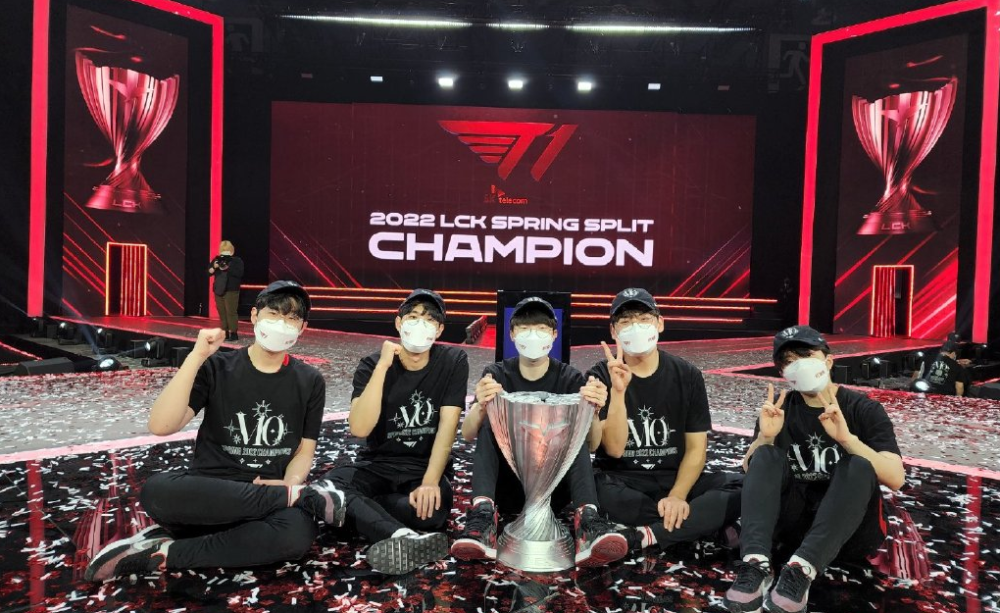 量南狮爱好 量南狮爱好