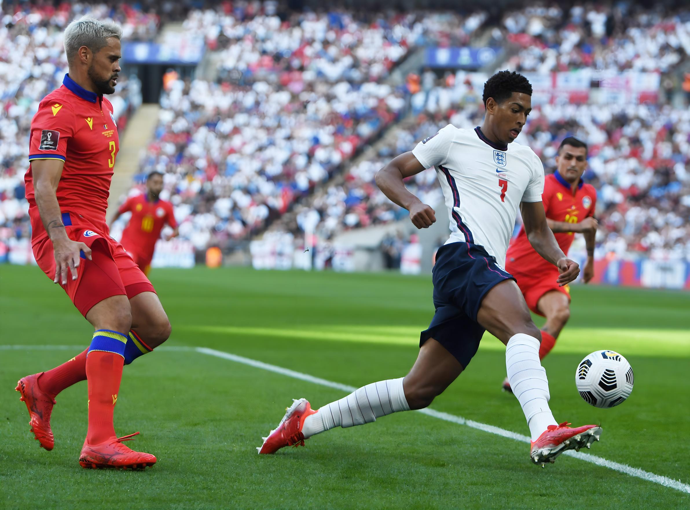 这使他在面 这使他在面